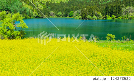 春の北竜湖 春の北竜湖 124278626