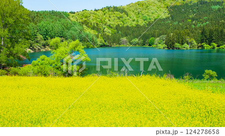 春の北竜湖 春の北竜湖 124278658