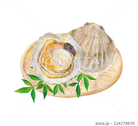 水彩イラスト ありがたい海の幸 新鮮なホタテ 水彩イラスト ありがたい海の幸 新鮮なホタテ 124278670