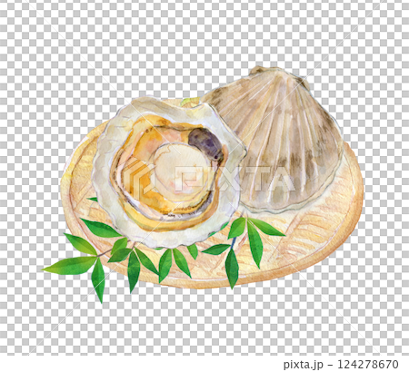 水彩イラスト ありがたい海の幸 新鮮なホタテ 水彩イラスト ありがたい海の幸 新鮮なホタテ 124278670
