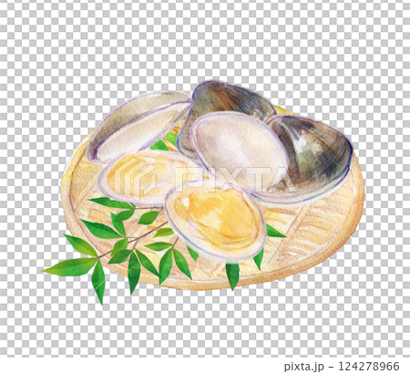 水彩插圖：感恩海鮮：新鮮蛤蜊 124278966