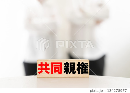 共同親権 124278977
