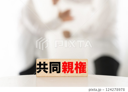 共同親権 124278978