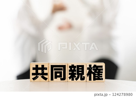 共同親権 共同親権 124278980
