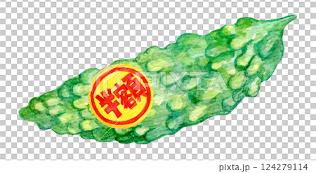 水彩イラスト 半額シールが貼られたゴーヤ 水彩イラスト 半額シールが貼られたゴーヤ 124279114