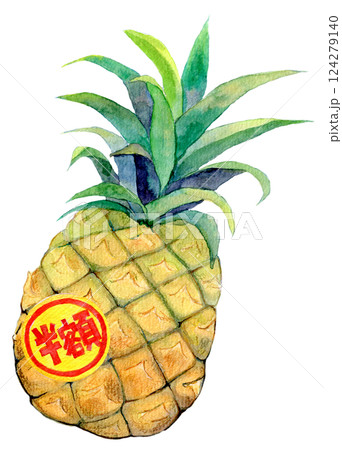 水彩イラスト　半額シールが貼られたパイナップル 124279140