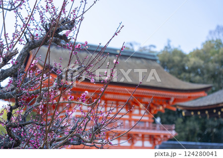 京都　下鴨神社　光琳の梅と楼門 124280041