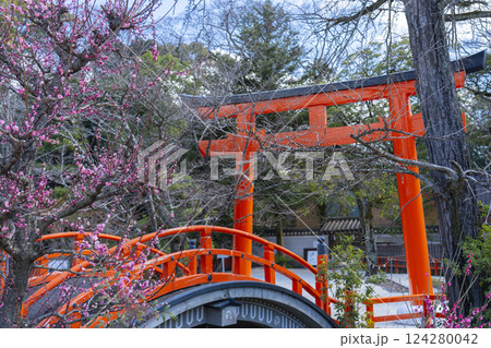 京都 下鴨神社 光琳の梅と朱塗りの輪橋 京都 下鴨神社 光琳の梅と朱塗りの輪橋 124280042