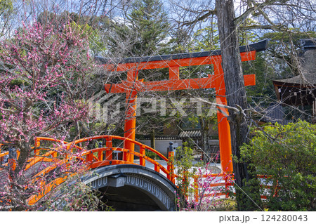 京都　下鴨神社　光琳の梅と朱塗りの輪橋 124280043