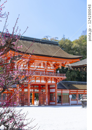 京都 下鴨神社 光琳の梅と楼門 京都 下鴨神社 光琳の梅と楼門 124280048