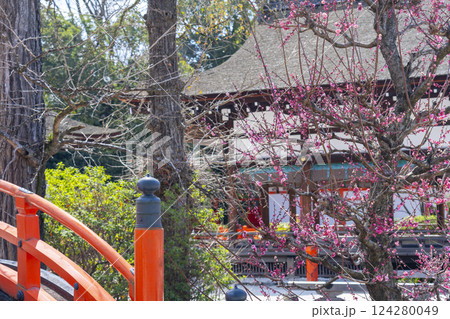 京都　下鴨神社　光琳の梅と橋殿 124280049