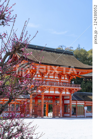 京都 下鴨神社 光琳の梅と楼門 京都 下鴨神社 光琳の梅と楼門 124280052