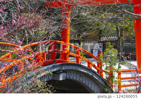 京都　下鴨神社　光琳の梅と朱塗りの輪橋 124280055