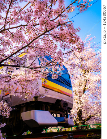 満開の桜の中を走る電車 124280067
