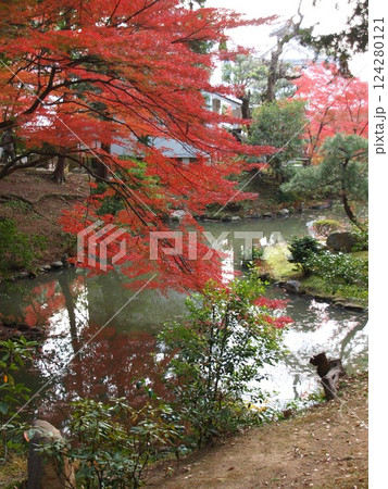 金戒光明寺 金戒光明寺 124280121