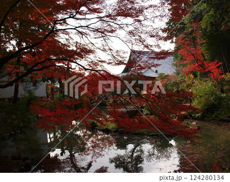 金戒光明寺 124280134