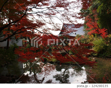 金戒光明寺 124280135