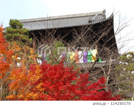 金戒光明寺 124280170