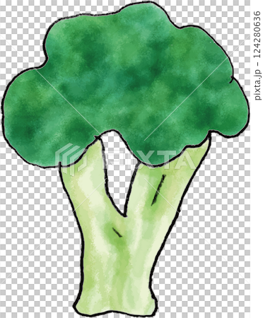 ブロッコリー　手書きイラスト 124280636
