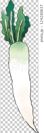 蘿蔔手繪插畫 124280637