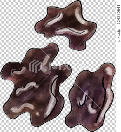 キクラゲ　手書きイラスト 124280641