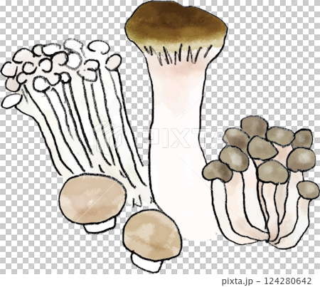 蘑菇配料插畫作文 124280642