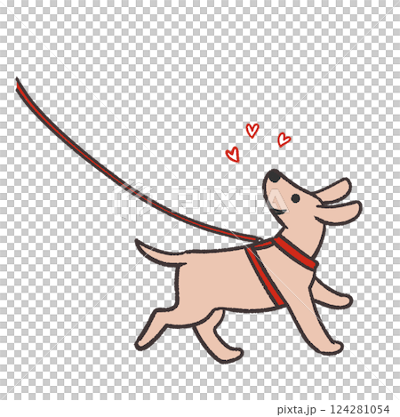 Dog walking 124281054