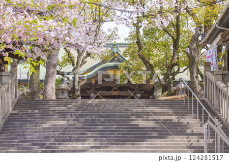 春の大阪 桜に包まれた高津宮(高津神社)拝殿 春の大阪 桜に包まれた高津宮(高津神社)拝殿 124281517
