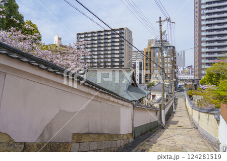 春の大阪　満開の桜と源聖寺坂（天王寺七坂） 124281519