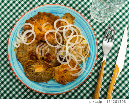 Salad bowl with pickled brittlegills and sliced white onions Salad bowl with pickled brittlegills and sliced white onions 124281598