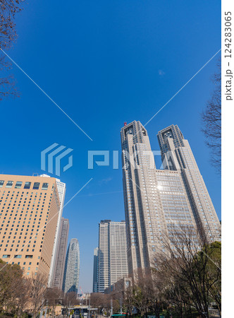 新宿中央公園から見上げる西新宿の超高層ビル群 124283065