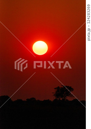 Sunset in the Okavango Delta Sunset in the Okavango Delta 124283269