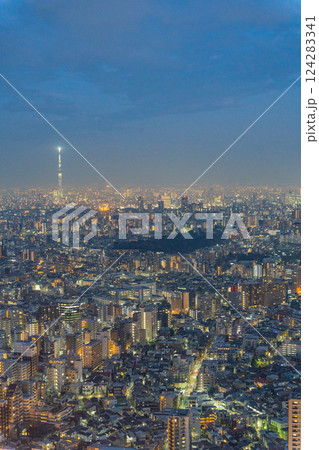 池袋サンシャインシティから見る東東京の都市風景　夜景 124283341