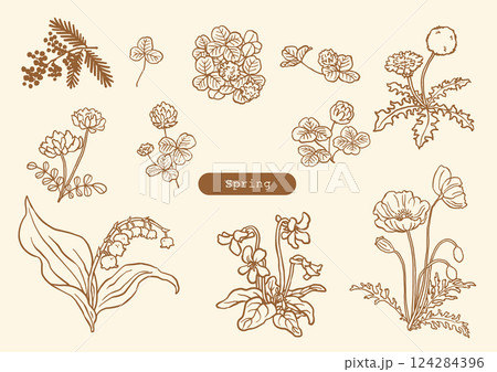 手描きの春の草花セット 手描きの春の草花セット 124284396