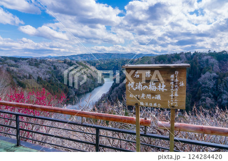 月ヶ瀬梅渓 早春の紅白鮮やかな梅 奈良県 月ヶ瀬梅渓 早春の紅白鮮やかな梅 奈良県 124284420