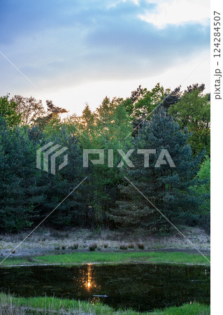 A Serene Sunset Reflection Over a Tranquil Pond, Beautifully Surrounded by Lush Trees 124284507