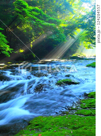 美しい光芒の出る菊池渓谷(菊池市・縦構図) 美しい光芒の出る菊池渓谷(菊池市・縦構図) 124284557