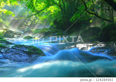 美しい光芒の出る菊池渓谷（菊池市） 124284561