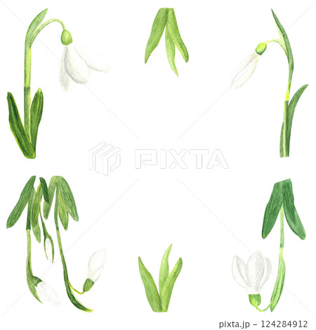Watercolor spring first flowers, hand-drawn illustration, frame of snowdrops 124284912