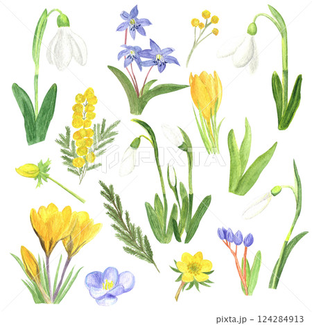 Set of watercolor snowdrops, hand-drawn illustration. Spring first flowers 124284913