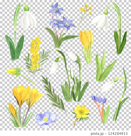Set of watercolor snowdrops, hand-drawn illustration. Spring first flowers 124284913