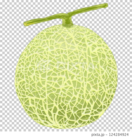 緑のマスクメロンあるごと1玉のイラスト素材 124284924