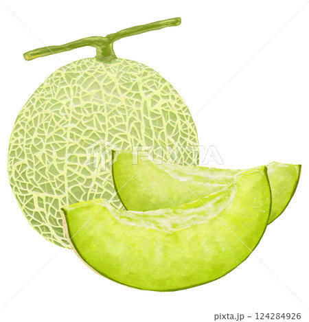 緑のマスクメロン1玉とカットメロン2切れのイラスト素材 124284926