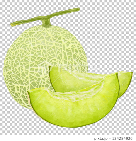 緑のマスクメロン1玉とカットメロン2切れのイラスト素材 124284926