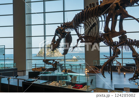 長崎市恐竜博物館 124285002