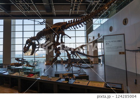 長崎市恐竜博物館 124285004