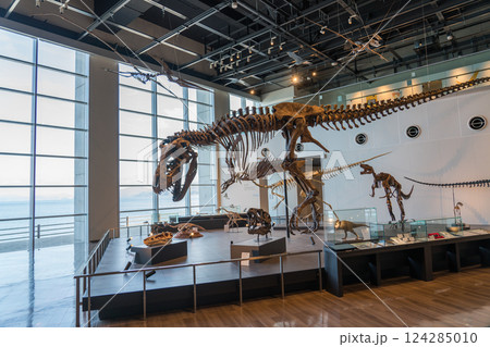 長崎市恐竜博物館 124285010