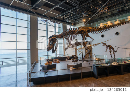 長崎市恐竜博物館 124285011