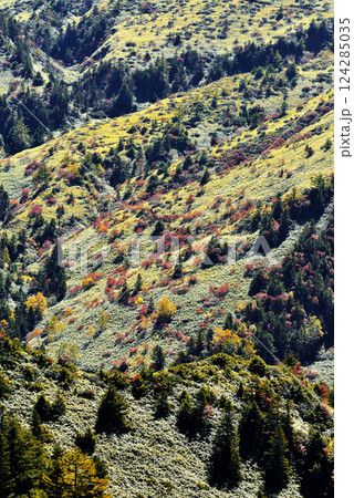 志賀高原 紅葉 志賀高原 紅葉 124285035