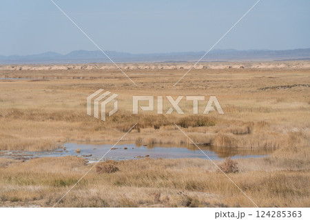 玉門関遺跡 124285363